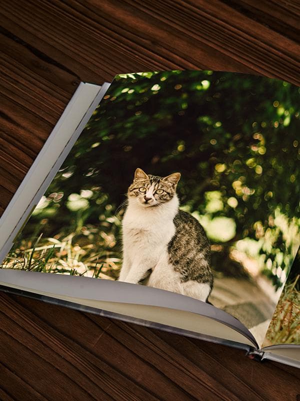 アルバム 思い出を彩る風景写真集